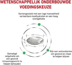 Royal Canin Diabetic - Kattenvoer - 3,5 Kg 19 Royal Canin Diabetic - Kattenvoer - 3,5 Kg -Kattenbenodigdheden 1200x1077 1