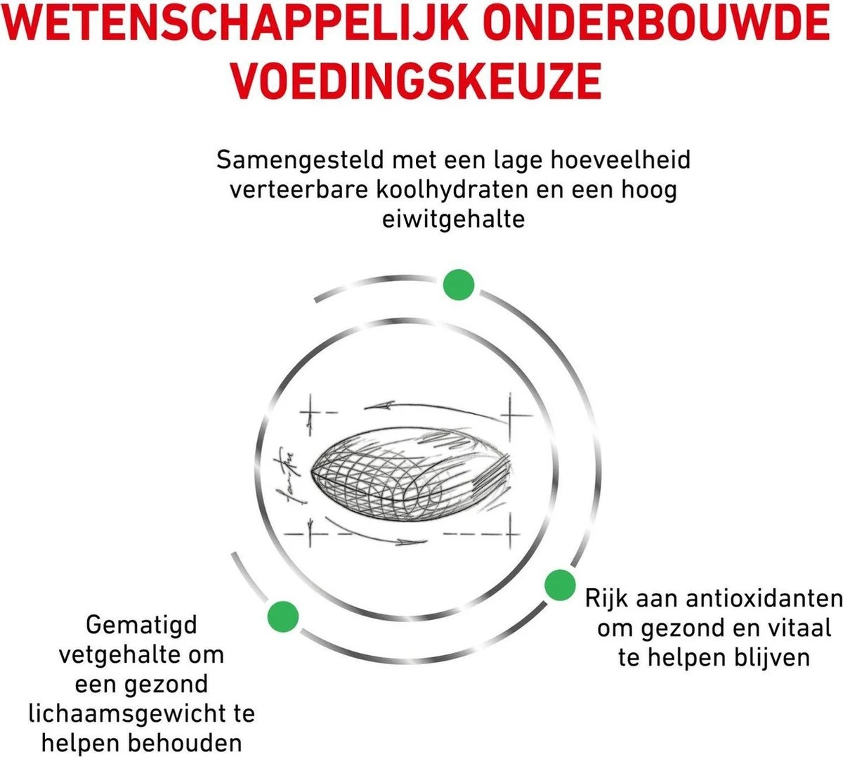 Royal Canin Diabetic - Kattenvoer - 3,5 Kg 7 Royal Canin Diabetic - Kattenvoer - 3,5 Kg - Afbeelding 5