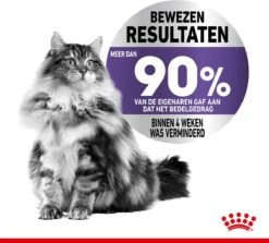Royal Canin Appetite Control Care - Kattenvoer - 2 Kg 23 Royal Canin Appetite Control Care - Kattenvoer - 2 Kg -Kattenbenodigdheden 1200x1082