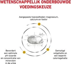 Royal Canin Urinary S/O Moderate Calorie - Kattenvoer - 9 Kg -Kattenbenodigdheden 1200x1089