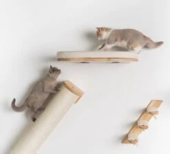 RHRQuality Wandmeubel Wandmontage Klimmuur Kat 53 X 43cm Luxe Kattenbed Creme Wand Muur Krabpaal Katten Muurbevestiging -Kattenbenodigdheden 1200x1090 3