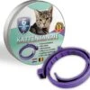 Natuurlijke Vlooienband - Katten - Paars - Zonder Giftige Pesticiden - 100% Natuurlijk - Vlooien En Teken - Milieuvriendelijk - Geur Halsband 2 Natuurlijke Vlooienband - Katten - Paars - Zonder Giftige Pesticiden - 100% Natuurlijk - Vlooien En Teken - Milieuvriendelijk - Geur Halsband -Kattenbenodigdheden 1200x1096
