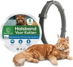 Essential Link Teken- En Vlooienband - Vlooienband Kat – Anti Vlooien – Vlooienmiddel - Tekenband - Diervriendelijk 15 Essential Link Teken- En Vlooienband - Vlooienband Kat – Anti Vlooien – Vlooienmiddel - Tekenband - Diervriendelijk -Kattenbenodigdheden 1200x1102 1
