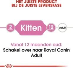 Royal Canin Kitten - Kittenvoer - 4 Kg -Kattenbenodigdheden 1200x1117 3