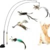 Kattenspeelgoed - Simulatie Vogel - Interactieve Grappige Kattenspeeltjes - Kattenhengel Met Zuignap + 4 Vogels + Een Kattenhengel GRATIS 2 Kattenspeelgoed - Simulatie Vogel - Interactieve Grappige Kattenspeeltjes - Kattenhengel Met Zuignap + 4 Vogels + Een Kattenhengel GRATIS -Kattenbenodigdheden 1200x1125 7