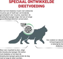 Royal Canin Diabetic - Kattenvoer - 3,5 Kg 18 Royal Canin Diabetic - Kattenvoer - 3,5 Kg -Kattenbenodigdheden 1200x1127 1