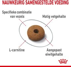Royal Canin Appetite Control Care - Kattenvoer - 2 Kg 21 Royal Canin Appetite Control Care - Kattenvoer - 2 Kg -Kattenbenodigdheden 1200x1128 2