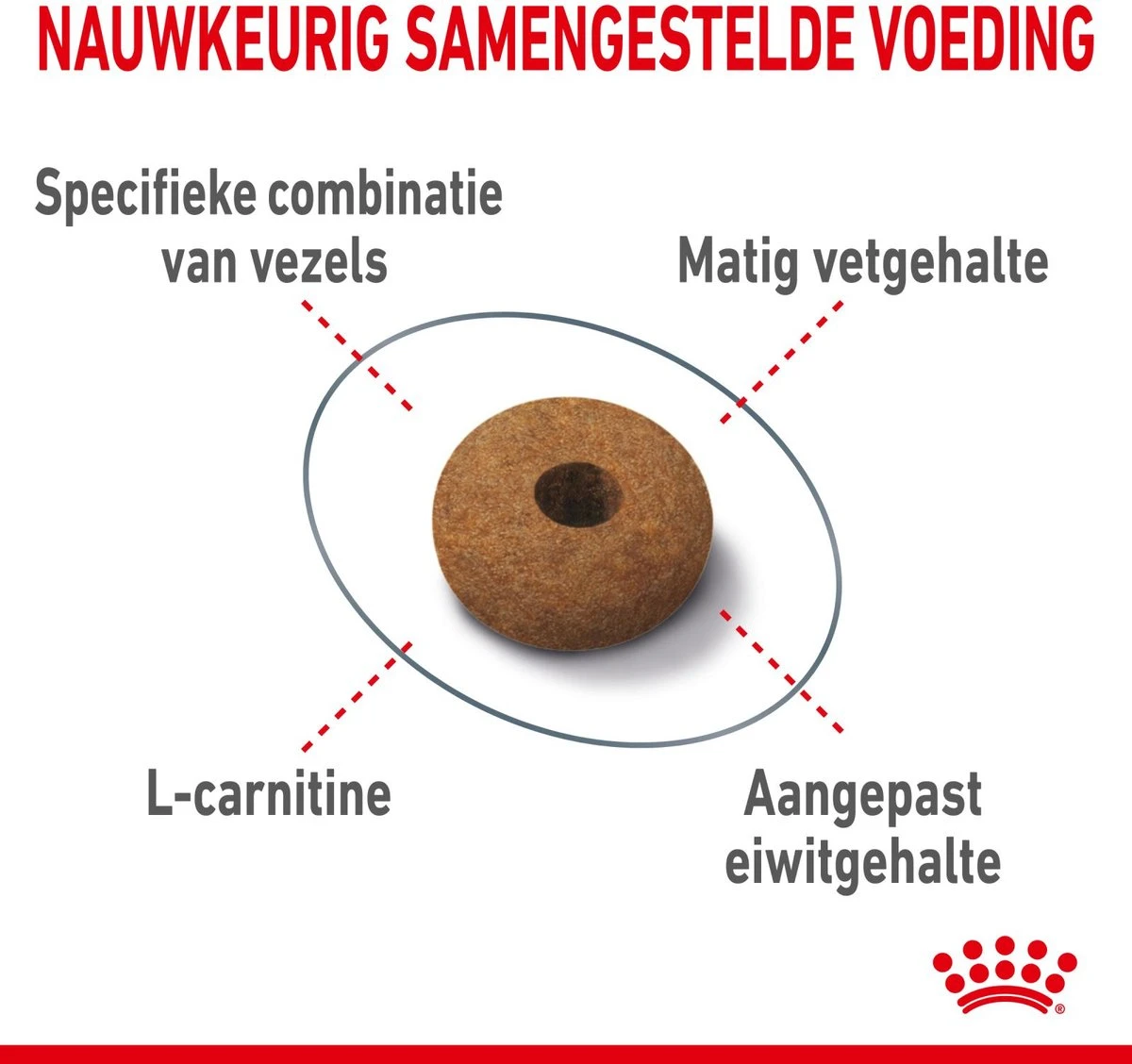 Royal Canin Appetite Control Care - Kattenvoer - 2 Kg 6 Royal Canin Appetite Control Care - Kattenvoer - 2 Kg - Afbeelding 4