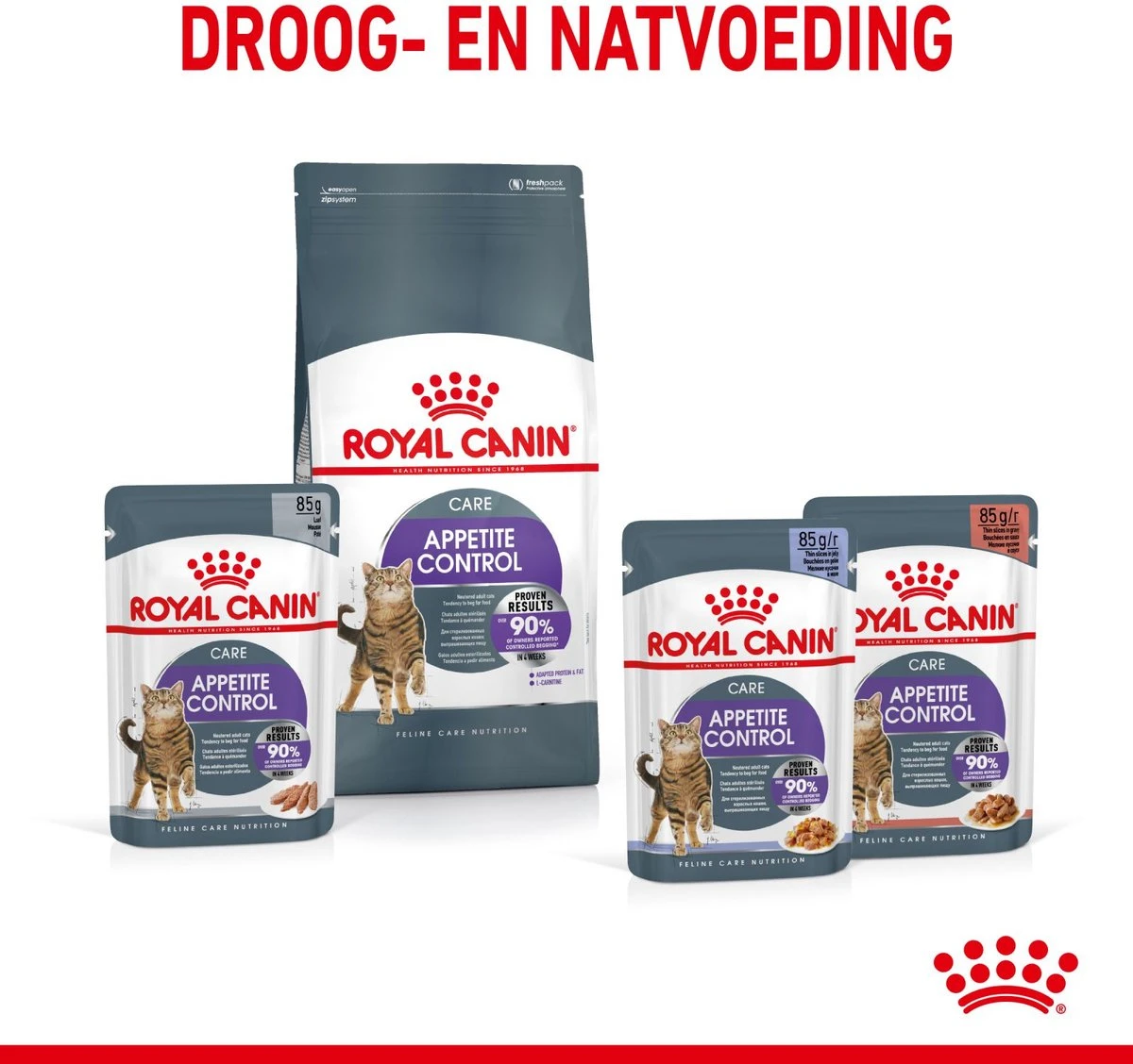 Royal Canin Appetite Control Care - Kattenvoer - 2 Kg 13 Royal Canin Appetite Control Care - Kattenvoer - 2 Kg - Afbeelding 11