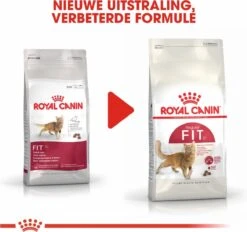 Royal Canin Fit 32 - Kattenvoer - 10 Kg 26 Royal Canin Fit 32 - Kattenvoer - 10 Kg -Kattenbenodigdheden 1200x1129 2
