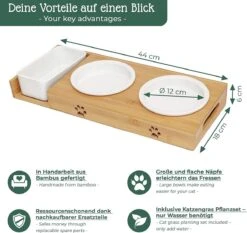 Pfotenolymp® Voederstation Met Kattengras Voor Katten - Porseleinen Kattenbak/Voedingsbak - Verhoogde Kom Set Met Kattengrasbak - Voerbak Hoog 12 Pfotenolymp® Voederstation Met Kattengras Voor Katten - Porseleinen Kattenbak/Voedingsbak - Verhoogde Kom Set Met Kattengrasbak - Voerbak Hoog -Kattenbenodigdheden 1200x1133 3
