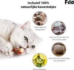 Filo Kattenspeelgoed Set 30 Stuks - Kattenspeeltje Kattentunnel - Kattenhengel - Kattenveertjes - Vis Met Kattenkruid - Kattenspeeltjes Intelligentie Kitten - Interactief Speelgoed Katten - Poezen Speeltjes -Kattenbenodigdheden 1200x1133 7