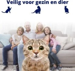Biologische Vlooienband | Katten | Zonder Pesticiden | Vlooien En Teken | Veilig Voor Mens En Dier | Milieuvriendelijk | Kattenbandje | Geur Halsband 7 Biologische Vlooienband | Katten | Zonder Pesticiden | Vlooien En Teken | Veilig Voor Mens En Dier | Milieuvriendelijk | Kattenbandje | Geur Halsband -Kattenbenodigdheden 1200x1137 1