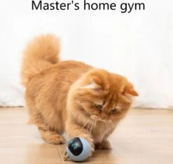 Otiume Interactieve Speelbal - Slimme Interactieve Jaag Speeltje Voor Katten - Kattenspeeltjes - Intelligente Jaagbal - AI -USB Oplaadbaar - LED - Blauw 13 Otiume Interactieve Speelbal - Slimme Interactieve Jaag Speeltje Voor Katten - Kattenspeeltjes - Intelligente Jaagbal - AI -USB Oplaadbaar - LED - Blauw -Kattenbenodigdheden 1200x1137 13