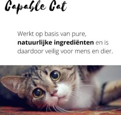 Capable Cat Vlooienband Kat | Vlooien | Luizen | Teken | Mijten | 8 Maanden Bescherming | Katten 13 Capable Cat Vlooienband Kat | Vlooien | Luizen | Teken | Mijten | 8 Maanden Bescherming | Katten -Kattenbenodigdheden 1200x1142 1