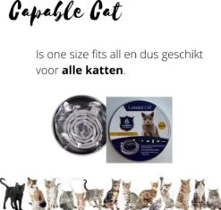 Capable Cat Vlooienband Kat | Vlooien | Luizen | Teken | Mijten | 8 Maanden Bescherming | Katten 15 Capable Cat Vlooienband Kat | Vlooien | Luizen | Teken | Mijten | 8 Maanden Bescherming | Katten -Kattenbenodigdheden 1200x1142 2