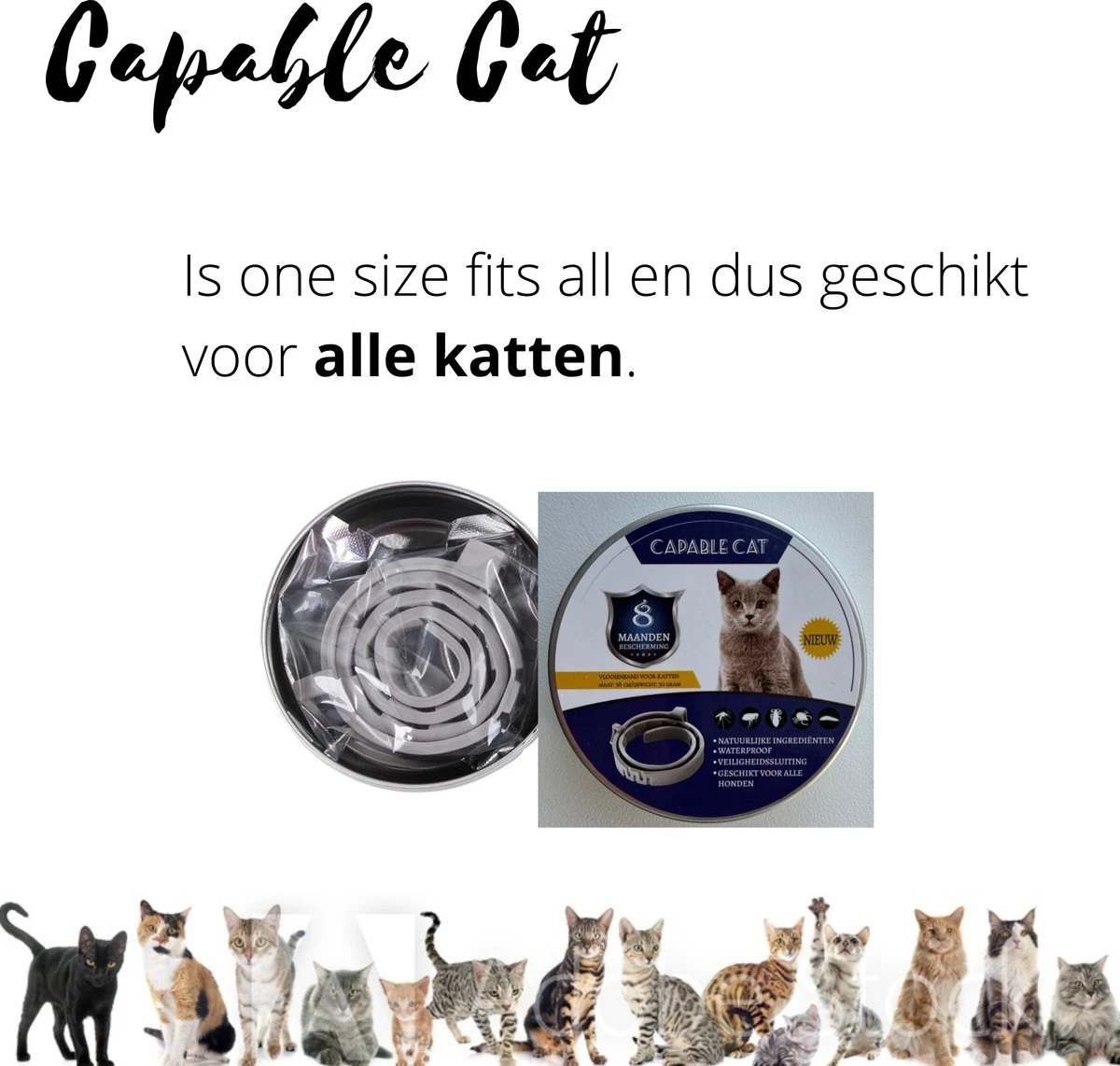 Capable Cat Vlooienband Kat | Vlooien | Luizen | Teken | Mijten | 8 Maanden Bescherming | Katten 9 Capable Cat Vlooienband Kat | Vlooien | Luizen | Teken | Mijten | 8 Maanden Bescherming | Katten - Afbeelding 7