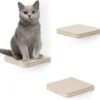 Navaris Katten Klimmuur 3 Tredes - 18 X 18 X 1,5 Cm Per Plankje - Katten Klimwand Van Hout - Inclusief Bevestigingsmateriaal 1 Navaris Katten Klimmuur 3 Tredes - 18 X 18 X 1,5 Cm Per Plankje - Katten Klimwand Van Hout - Inclusief Bevestigingsmateriaal -Kattenbenodigdheden 1200x1142 6