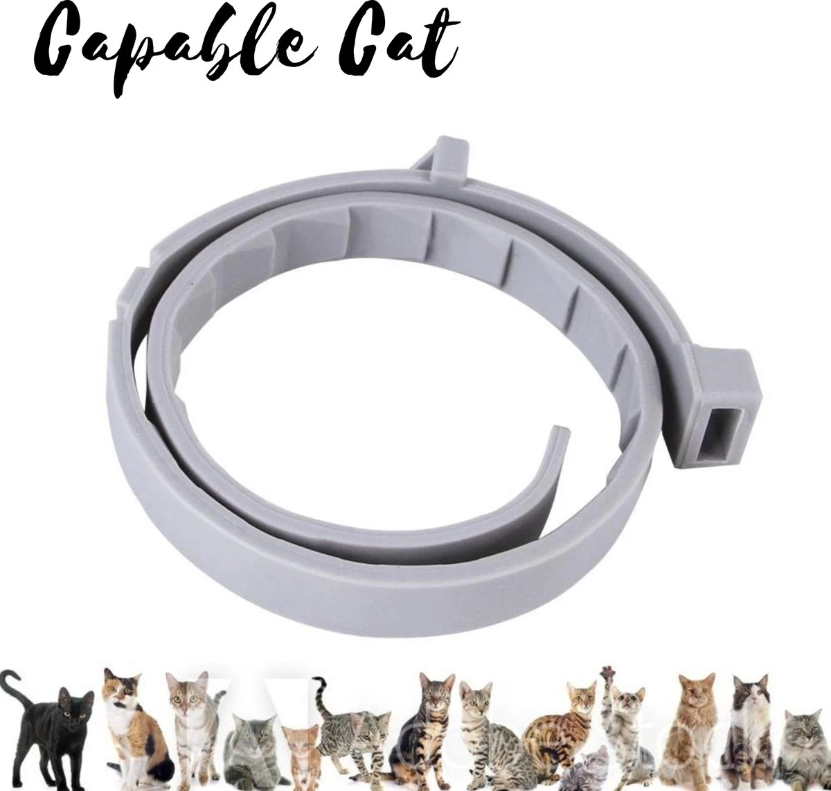 Capable Cat Vlooienband Kat | Vlooien | Luizen | Teken | Mijten | 8 Maanden Bescherming | Katten 3 Capable Cat Vlooienband Kat | Vlooien | Luizen | Teken | Mijten | 8 Maanden Bescherming | Katten