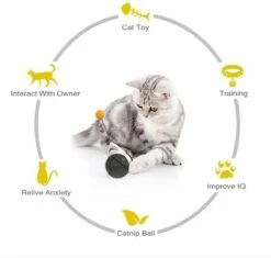 Balance Cat Toy - Katten Speelgoed - Intelligent - Draaiend Balletje Op Wielen - Balletje - Interactief Katten Speeltje - Kitten Bal 13 Balance Cat Toy - Katten Speelgoed - Intelligent - Draaiend Balletje Op Wielen - Balletje - Interactief Katten Speeltje - Kitten Bal -Kattenbenodigdheden 1200x1143 3