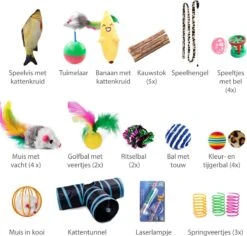 Filo Kattenspeelgoed Set 30 Stuks - Kattenspeeltje Kattentunnel - Kattenhengel - Kattenveertjes - Vis Met Kattenkruid - Kattenspeeltjes Intelligentie Kitten - Interactief Speelgoed Katten - Poezen Speeltjes -Kattenbenodigdheden 1200x1145 5
