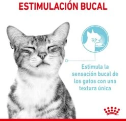 Royal Canin Sensory Multipack Mix - In Gravy - Kattenvoer - 12x85 G 11 Royal Canin Sensory Multipack Mix - In Gravy - Kattenvoer - 12x85 G -Kattenbenodigdheden 1200x1146