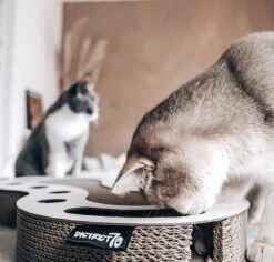 Interactief Design Krabspeelgoed Voor Katten Van Duurzaam Karton - District 70 SNAKE - Zwart -Kattenbenodigdheden 1200x1146 4