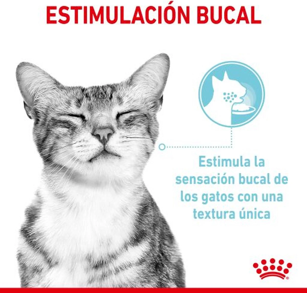 Royal Canin Sensory Multipack Mix - In Gravy - Kattenvoer - 12x85 G 7 Royal Canin Sensory Multipack Mix - In Gravy - Kattenvoer - 12x85 G - Afbeelding 5
