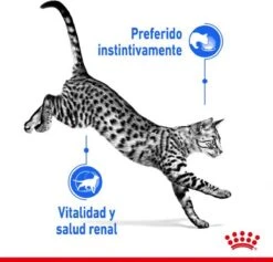Royal Canin Feline Sterilised Indoor In Gravy 19 Royal Canin Feline Sterilised Indoor In Gravy -Kattenbenodigdheden 1200x1153 1