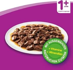 Whiskas Classic Selectie Kattenvoer, Hoogwaardig Nat Voer Voor Volwassen Katten 48 X 100g -Kattenbenodigdheden 1200x1153 2