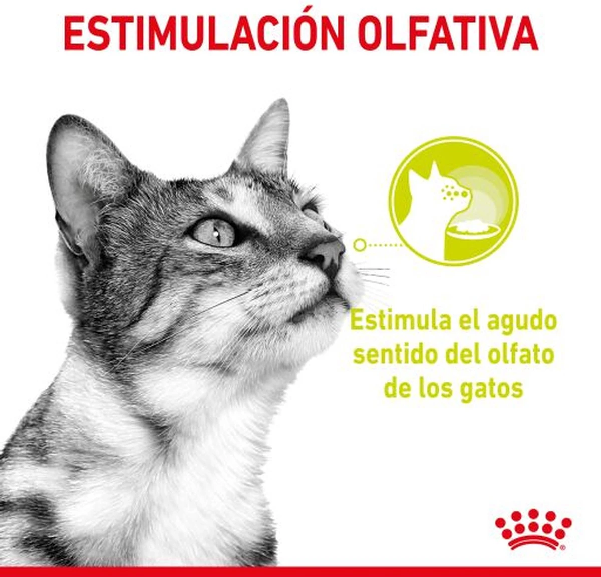 Royal Canin Sensory Multipack Mix - In Gravy - Kattenvoer - 12x85 G 5 Royal Canin Sensory Multipack Mix - In Gravy - Kattenvoer - 12x85 G - Afbeelding 3