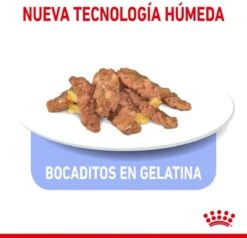 Royal Canin Feline Sterilised Indoor In Gravy 17 Royal Canin Feline Sterilised Indoor In Gravy -Kattenbenodigdheden 1200x1155 1