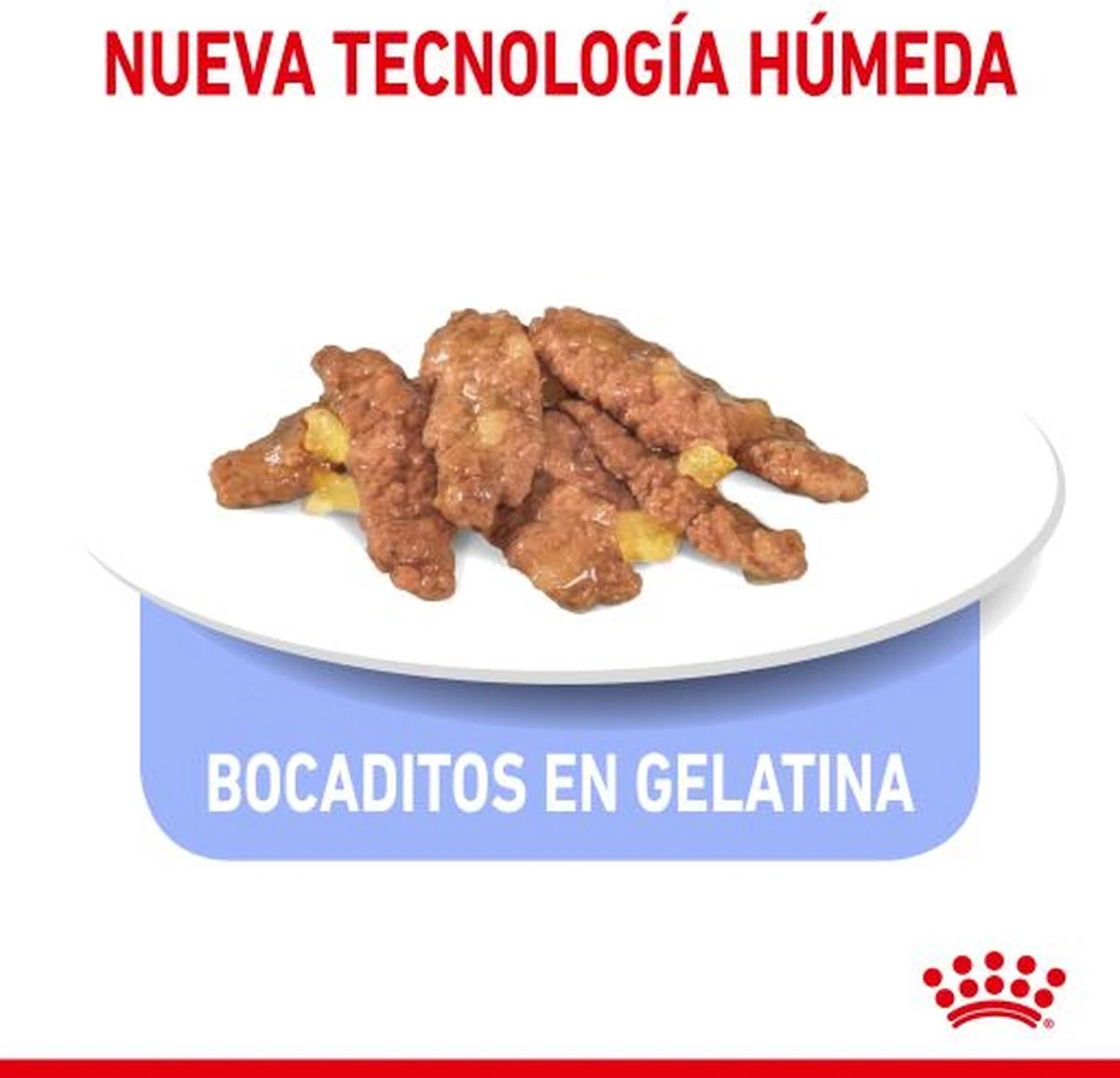 Royal Canin Feline Sterilised Indoor In Gravy 8 Royal Canin Feline Sterilised Indoor In Gravy - Afbeelding 6