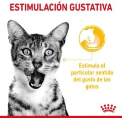 Royal Canin Sensory Multipack Mix - In Gravy - Kattenvoer - 12x85 G 10 Royal Canin Sensory Multipack Mix - In Gravy - Kattenvoer - 12x85 G -Kattenbenodigdheden 1200x1157 1