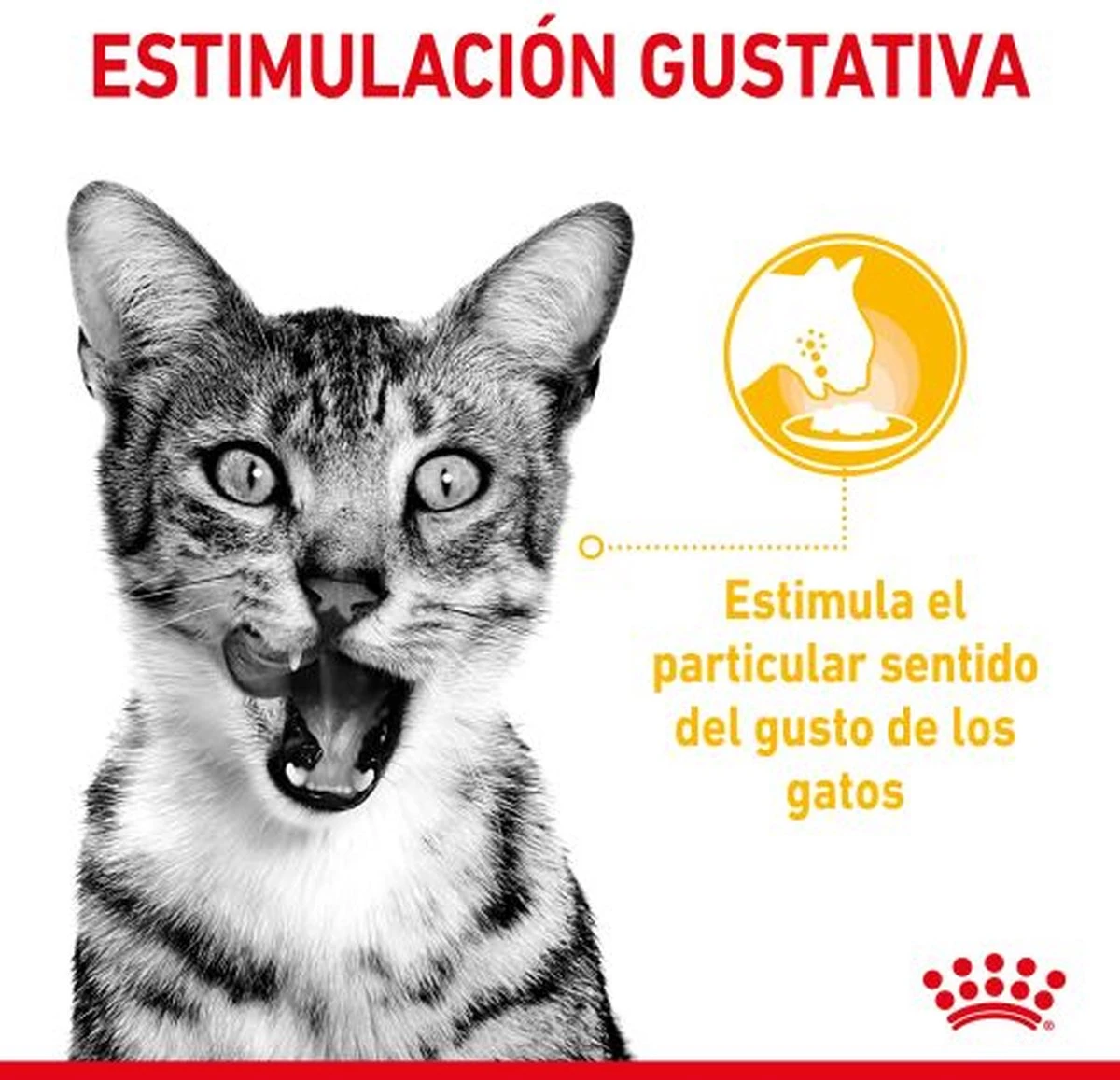 Royal Canin Sensory Multipack Mix - In Gravy - Kattenvoer - 12x85 G 6 Royal Canin Sensory Multipack Mix - In Gravy - Kattenvoer - 12x85 G - Afbeelding 4