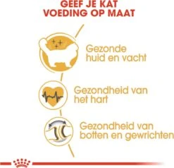 Royal Canin Ragdoll Adult - Kattenvoer - 2 Kg 15 Royal Canin Ragdoll Adult - Kattenvoer - 2 Kg -Kattenbenodigdheden 1200x1157