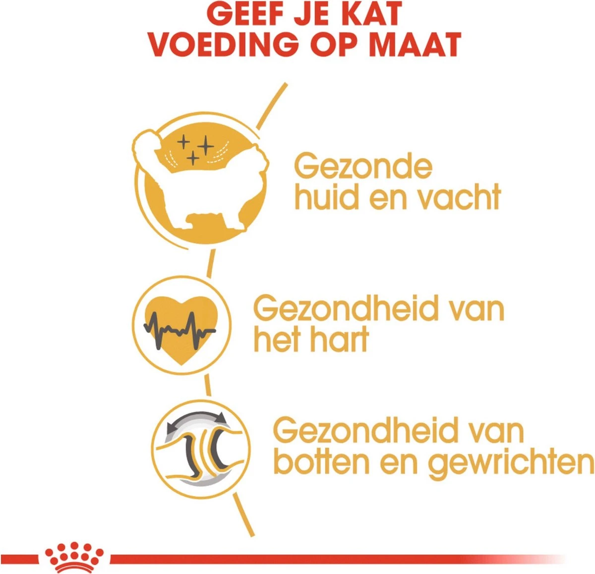 Royal Canin Ragdoll Adult - Kattenvoer - 2 Kg 6 Royal Canin Ragdoll Adult - Kattenvoer - 2 Kg - Afbeelding 4