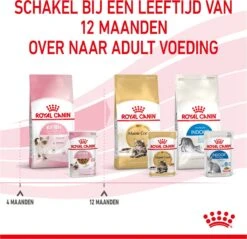 Royal Canin Wet Kitten (12X85 GR) -Kattenbenodigdheden 1200x1159 17