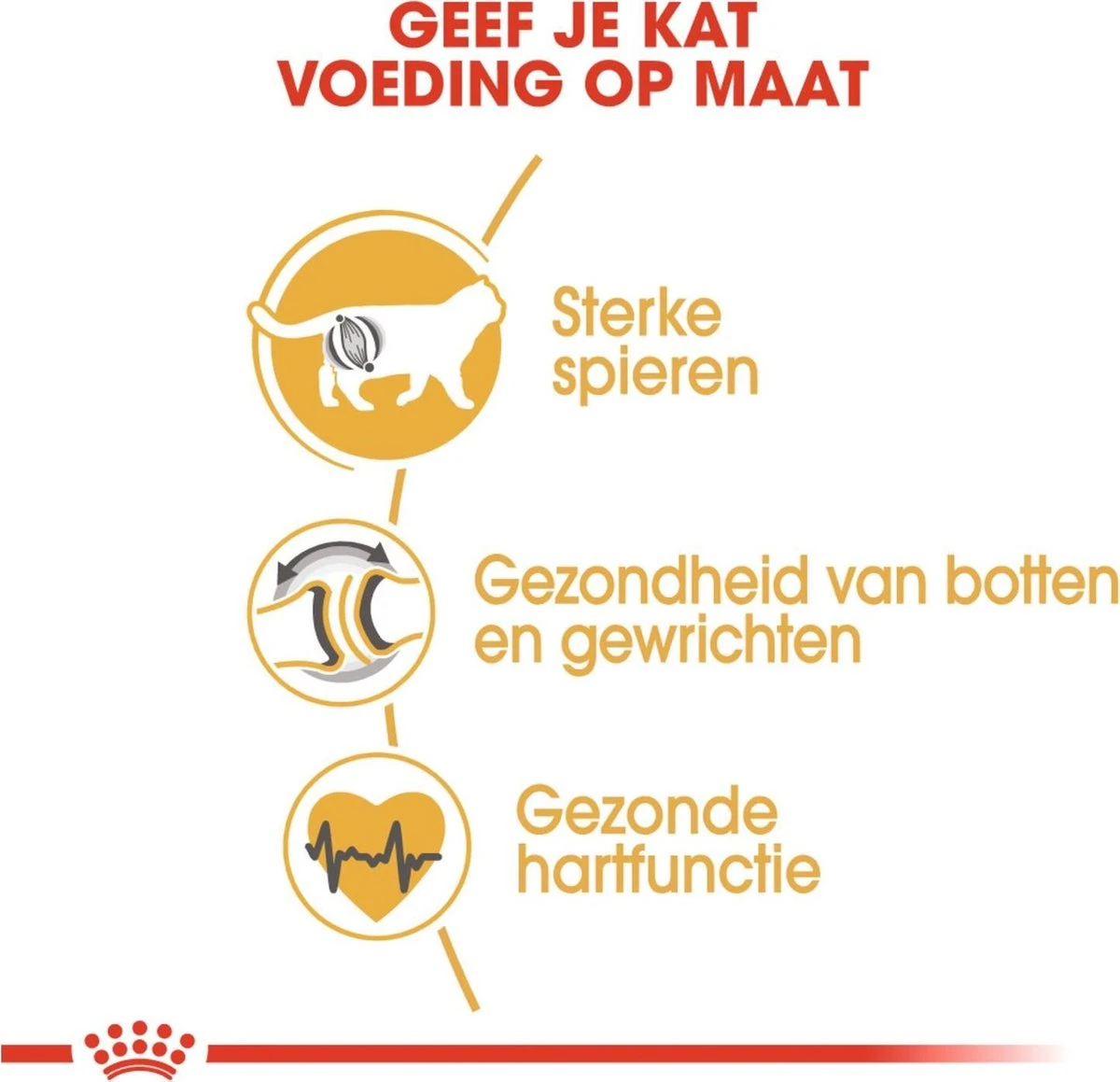 Royal Canin British Shorthair Adult - Kattenvoer - 4 Kg 6 Royal Canin British Shorthair Adult - Kattenvoer - 4 Kg - Afbeelding 4