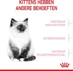Royal Canin Kitten - Kittenvoer - 4 Kg -Kattenbenodigdheden 1200x1159 2