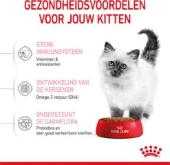 Royal Canin Kitten - Kittenvoer - 4 Kg -Kattenbenodigdheden 1200x1159 3