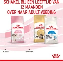 Royal Canin Kitten - Kittenvoer - 4 Kg -Kattenbenodigdheden 1200x1159 6
