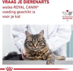 Royal Canin Gastro Intestinal - Kattenvoer - 400 G 25 Royal Canin Gastro Intestinal - Kattenvoer - 400 G -Kattenbenodigdheden 1200x1160 1