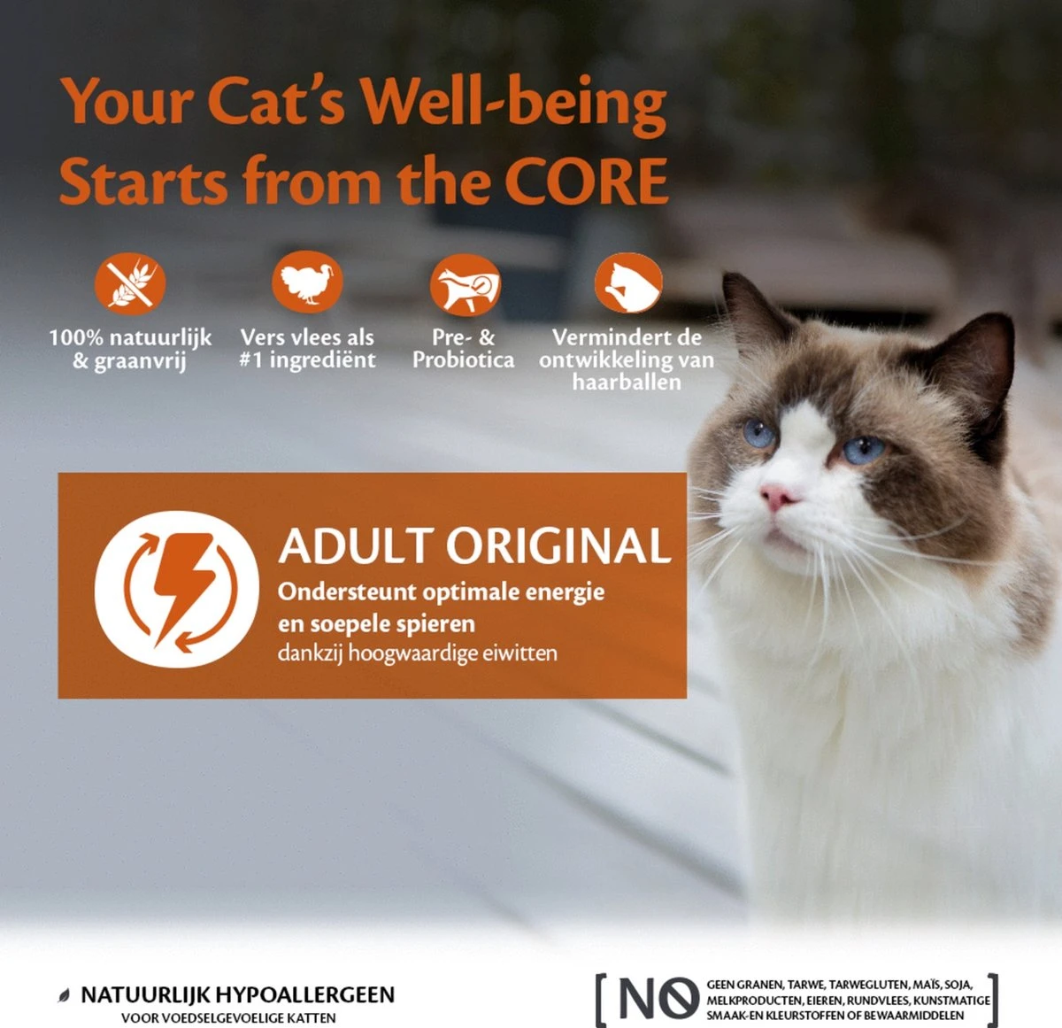 Wellness Core Kattenvoer Original Kalkoen - Kip 4 Kg 7 Wellness Core Kattenvoer Original Kalkoen - Kip 4 Kg - Afbeelding 5