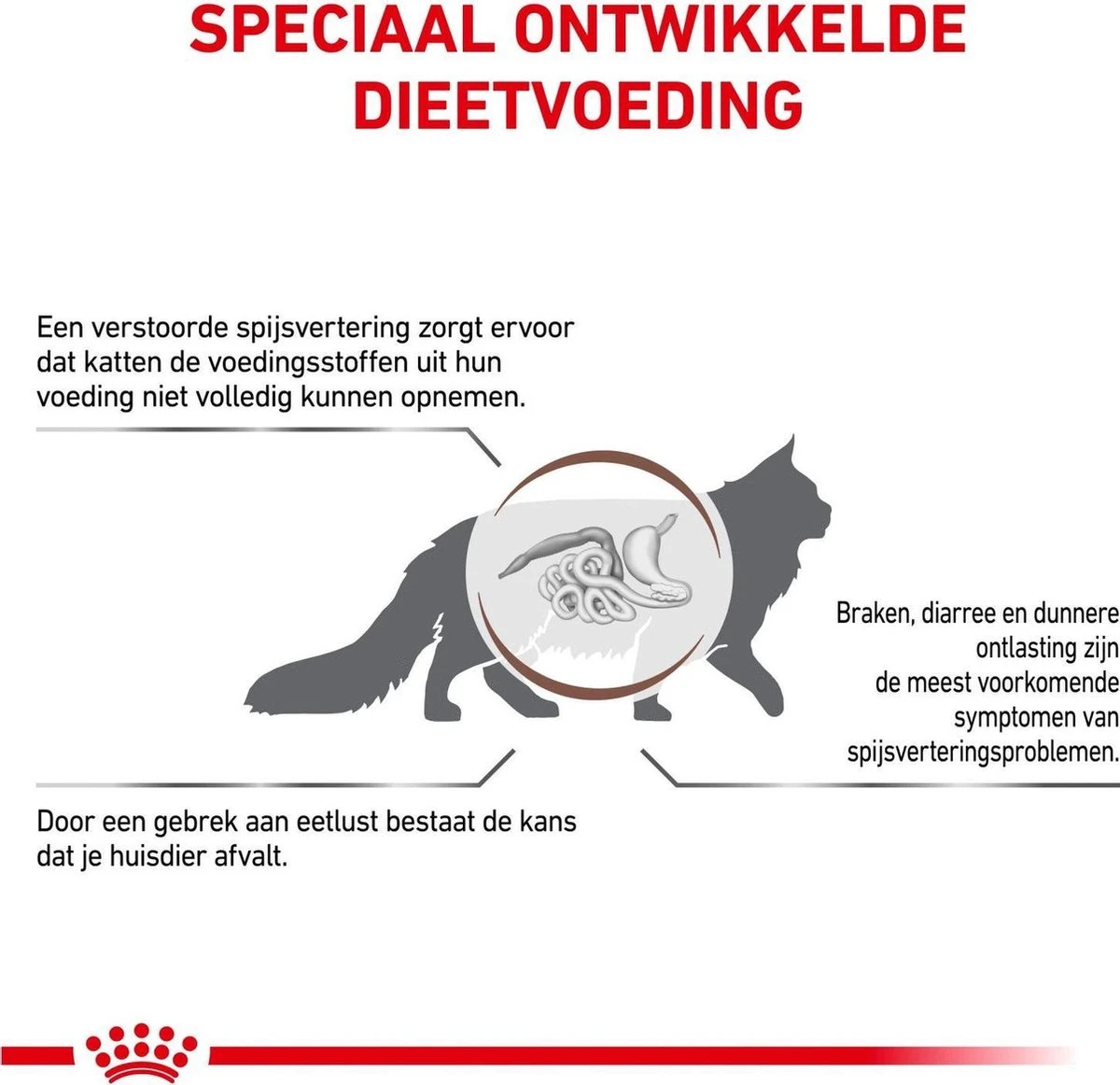 Royal Canin Gastro Intestinal - Kattenvoer - 400 G 6 Royal Canin Gastro Intestinal - Kattenvoer - 400 G - Afbeelding 4