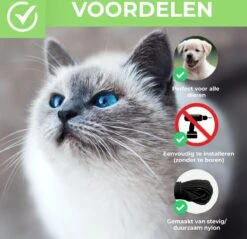 Kattennet Premium EXTRA STEVIG - 600 X 300 CM - Kattennet Voor Balkon - Zwart - Balkon Net - Makkelijk Te Monteren 8 Kattennet Premium EXTRA STEVIG - 600 X 300 CM - Kattennet Voor Balkon - Zwart - Balkon Net - Makkelijk Te Monteren -Kattenbenodigdheden 1200x1162 7