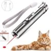 Laserpen - USB - Kattenspeeltjes - Zaklamp - Kat - Laser - Kattenspeelgoed - RVS Opbergblikje -Kattenbenodigdheden 1200x1162 8