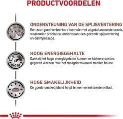 Royal Canin Gastro Intestinal - Kattenvoer - 400 G 20 Royal Canin Gastro Intestinal - Kattenvoer - 400 G -Kattenbenodigdheden 1200x1163 2