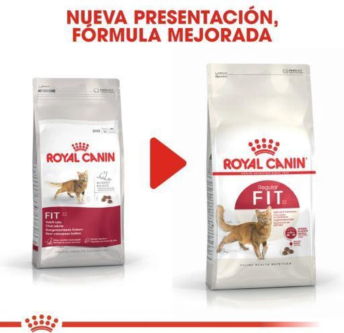 Royal Canin Fit 32 - Kattenvoer - 10 Kg 10 Royal Canin Fit 32 - Kattenvoer - 10 Kg - Afbeelding 8