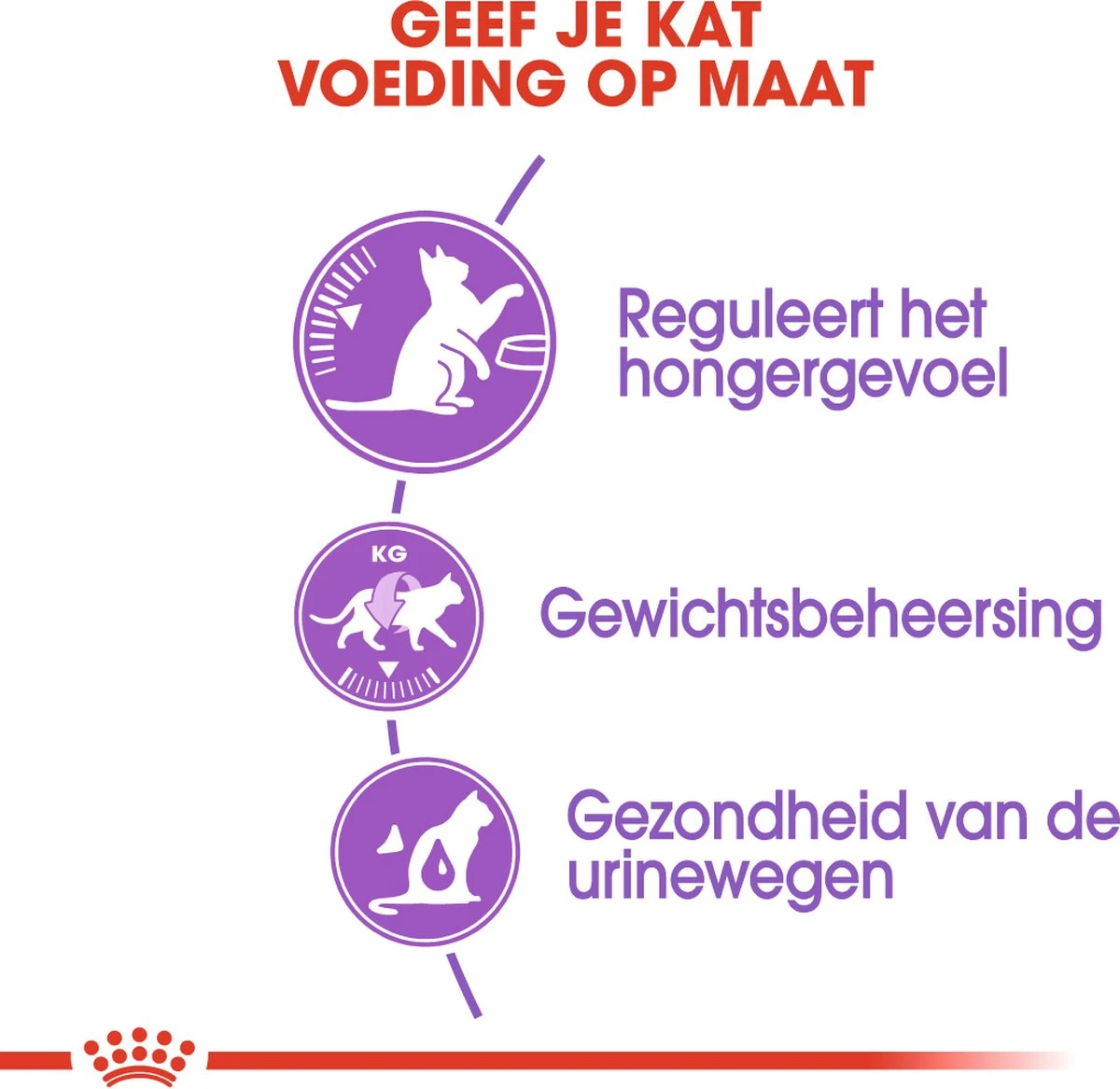 Royal Canin Appetite Control Care - Kattenvoer - 2 Kg 7 Royal Canin Appetite Control Care - Kattenvoer - 2 Kg - Afbeelding 5